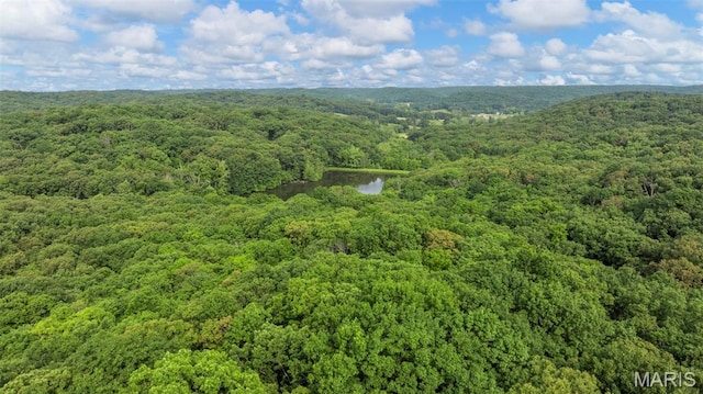 795 Schluersburg Rd, Augusta, MO 63332 - bird's eye view of a heavily wooded area and a nearby body of water