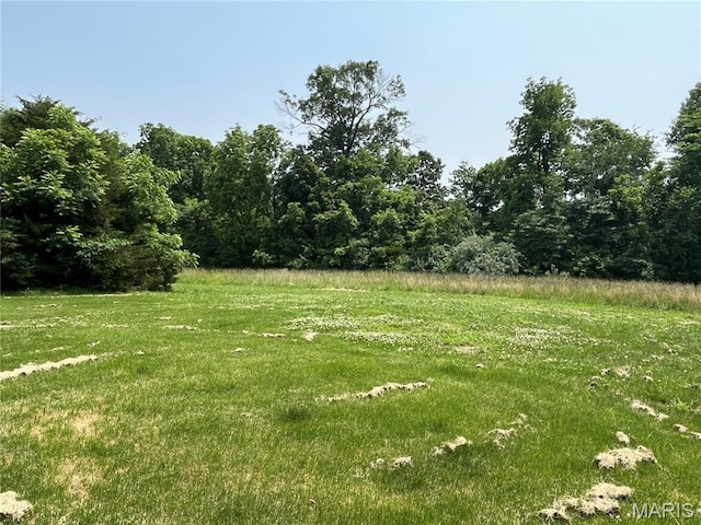 42 Davis Rd, Troy, MO 63379 - view of yard
