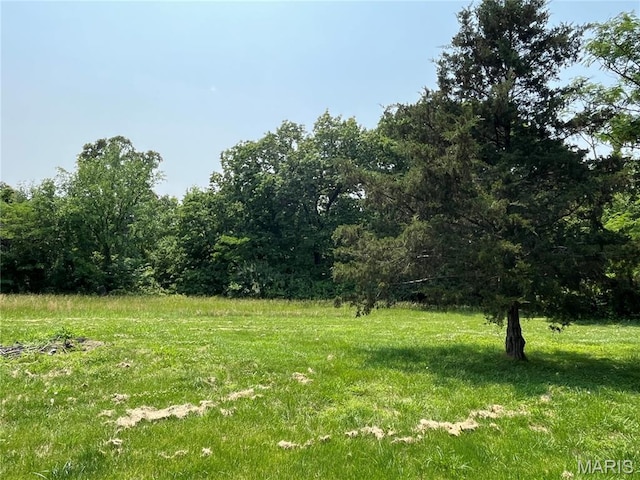 42 Davis Rd, Troy, MO 63379 - view of yard with a wooded view