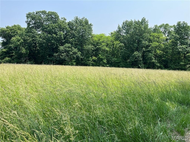 42 Davis Rd, Troy, MO 63379 - view of nature
