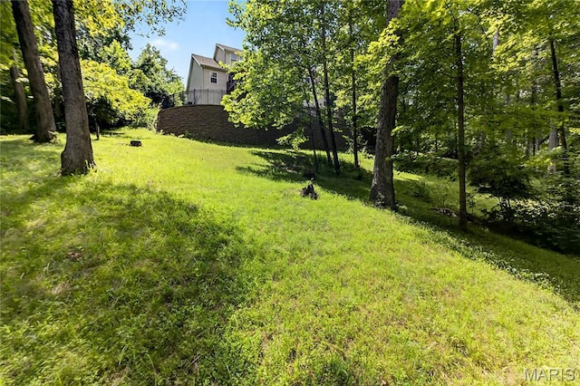 2657 Forest Glen Dr, Pacific, MO 63069 - photo 51