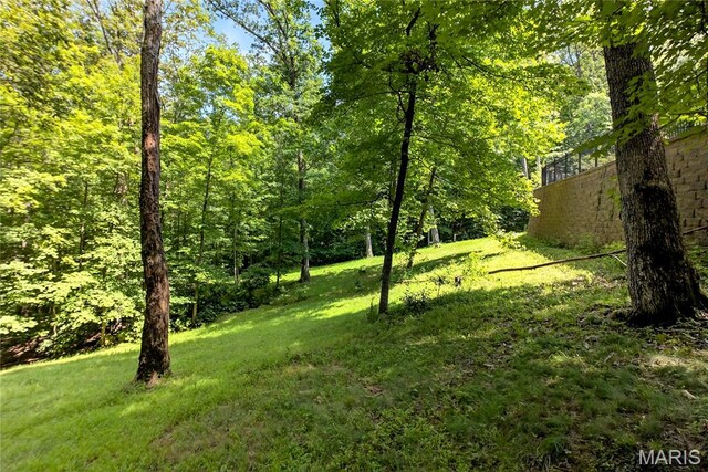 2657 Forest Glen Dr, Pacific, MO 63069 - photo 53
