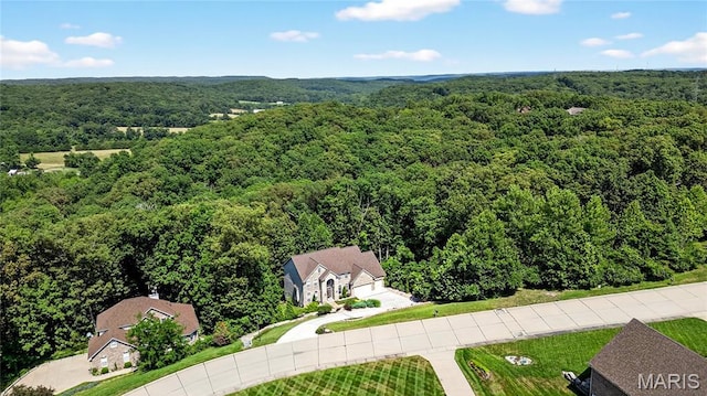 2657 Forest Glen Dr, Pacific, MO 63069 - photo 67