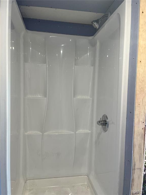 1003 W Ellis St, Salem, MO 65560 - full bathroom with a shower