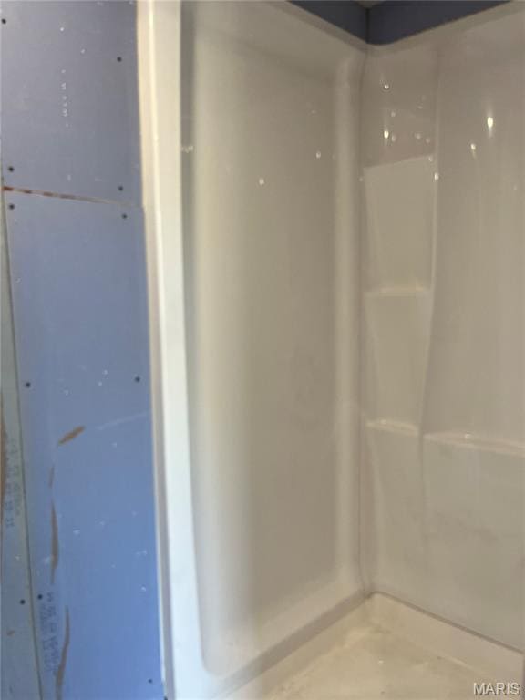1003 W Ellis St, Salem, MO 65560 - view of bathroom