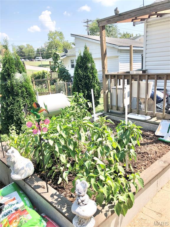 1003 W Ellis St, Salem, MO 65560 - view of yard
