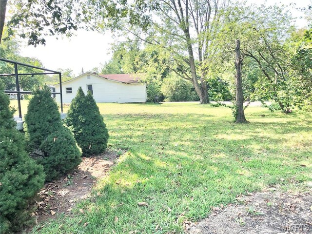 1003 W Ellis St, Salem, MO 65560 - view of green lawn