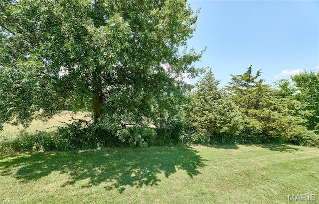 280 Cuivre Ridge Dr, Troy, MO 63379 - photo 59