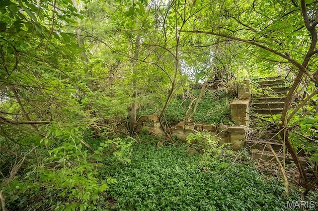 3271 Alfred Ave, Saint Louis, MO 63116 - view of undeveloped land