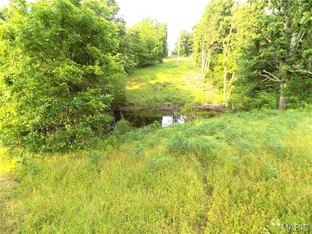 163 State Route C, Rolla, MO 65401 - photo 6