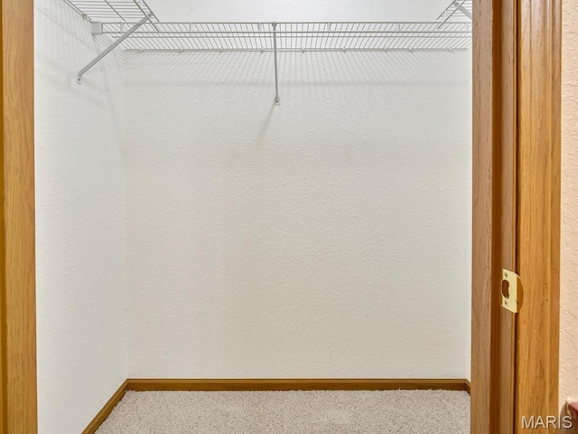 109 E Red Bud Ct, Valmeyer, IL 62295 - walk in closet featuring carpet flooring