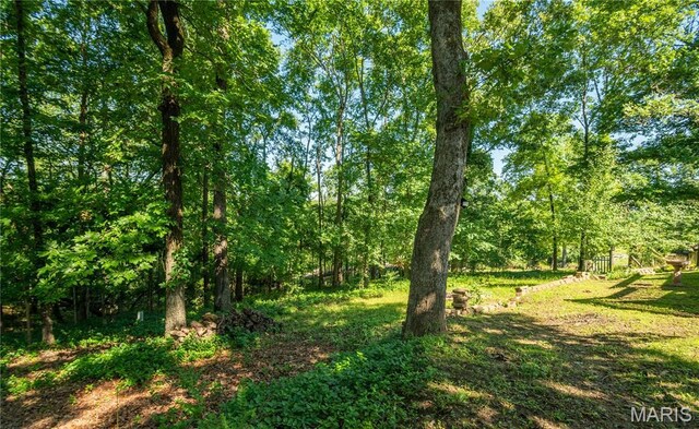 2855 Lakeside Dr, Poplar Bluff, MO 63901 - photo 29