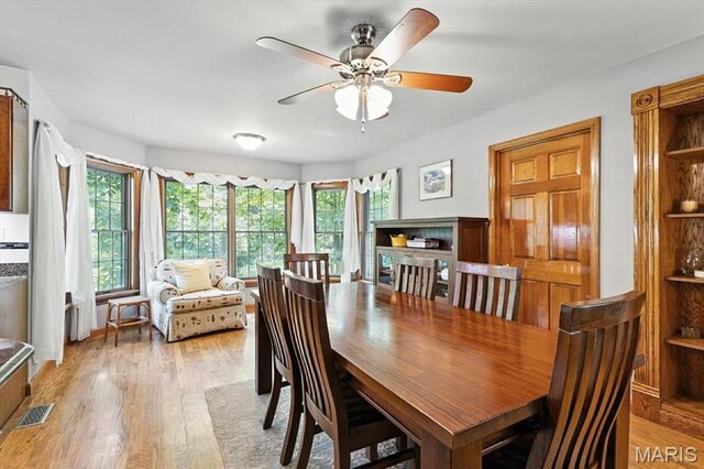 18232 Prickly Pear Ct, Pacific, MO 63069 - dining space featuring plenty of natural light, a ceiling fan, and light wood finished floors