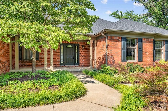 1609 10th Fairway Dr, Belleville, IL 62220 - doorway to property with a shingled roof, a porch, and brick siding