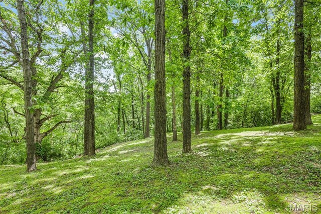 1220 Bridge Park Dr, Alton, IL 62002 - photo 36