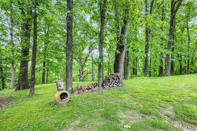 1220 Bridge Park Dr, Alton, IL 62002 - photo 37