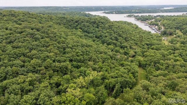 000 Red Cedar Rd, Sunrise Beach, MO 65079