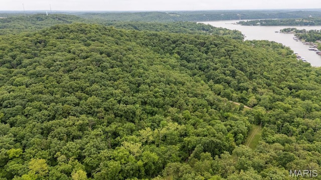 000 Red Cedar Rd, Sunrise Beach, MO 65079