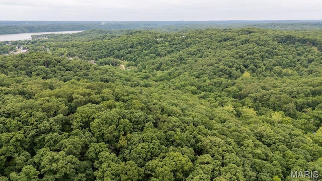 000 Red Cedar Rd, Sunrise Beach, MO 65079