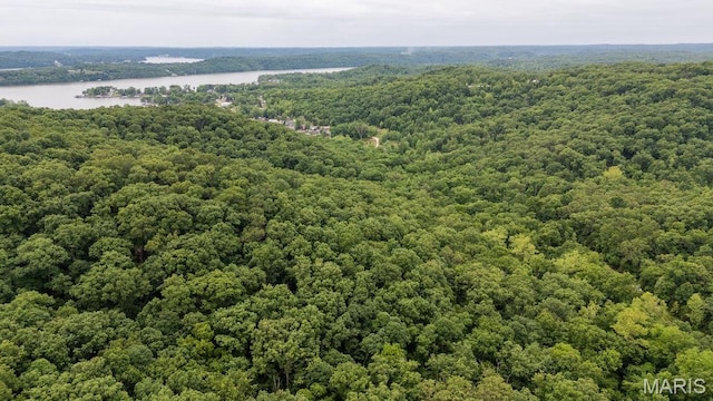 000 Red Cedar Rd, Sunrise Beach, MO 65079