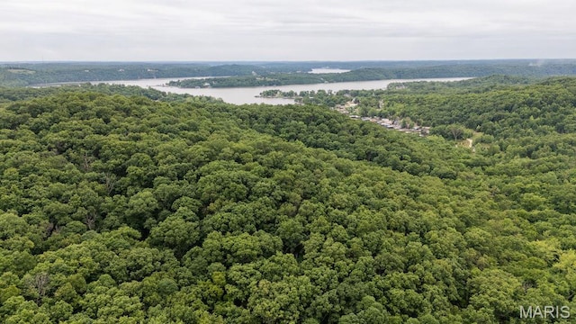 000 Red Cedar Rd, Sunrise Beach, MO 65079