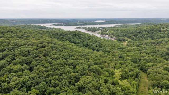 000 Red Cedar Rd, Sunrise Beach, MO 65079