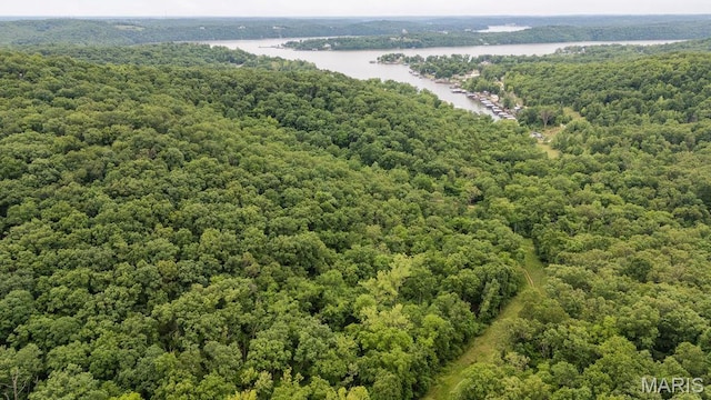 000 Red Cedar Rd, Sunrise Beach, MO 65079