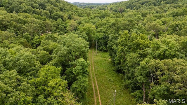 000 Red Cedar Rd, Sunrise Beach, MO 65079
