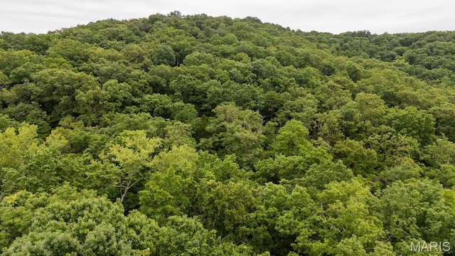 000 Red Cedar Rd, Sunrise Beach, MO 65079