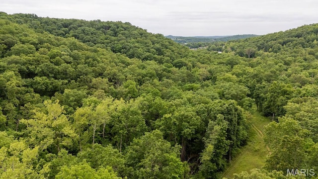 000 Red Cedar Rd, Sunrise Beach, MO 65079