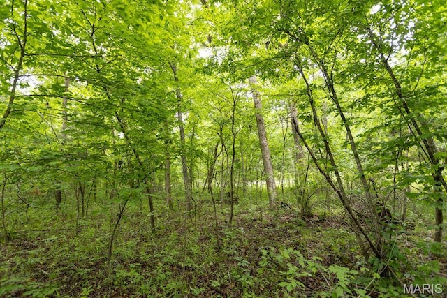 000 Red Cedar Rd, Sunrise Beach, MO 65079