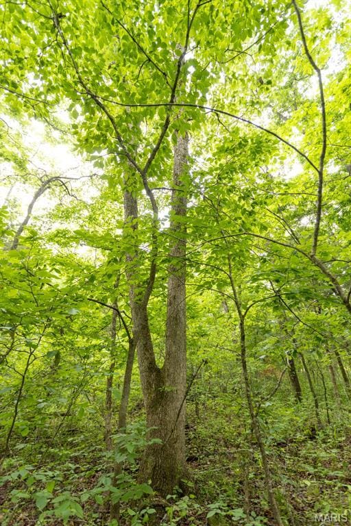 000 Red Cedar Rd, Sunrise Beach, MO 65079