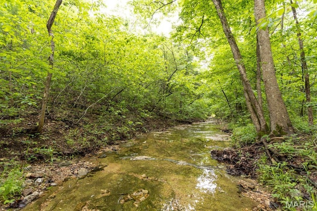 000 Red Cedar Rd, Sunrise Beach, MO 65079