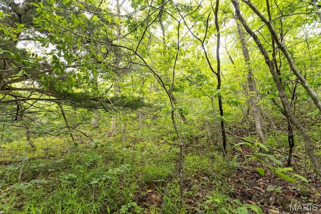 000 Red Cedar Rd, Sunrise Beach, MO 65079