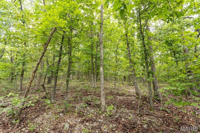 000 Red Cedar Rd, Sunrise Beach, MO 65079