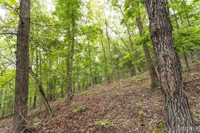 000 Red Cedar Rd, Sunrise Beach, MO 65079