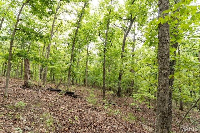 000 Red Cedar Rd, Sunrise Beach, MO 65079