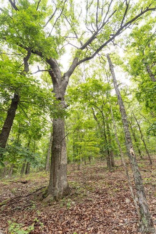 000 Red Cedar Rd, Sunrise Beach, MO 65079