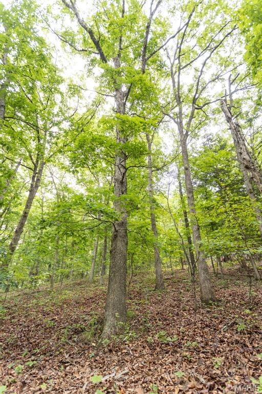 000 Red Cedar Rd, Sunrise Beach, MO 65079
