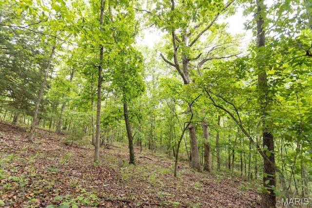 000 Red Cedar Rd, Sunrise Beach, MO 65079