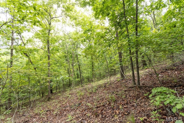 000 Red Cedar Rd, Sunrise Beach, MO 65079
