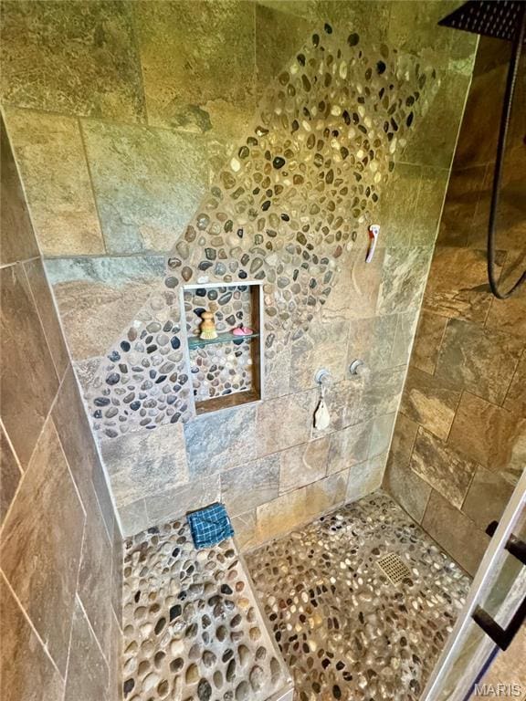 29048 State Highway V, Maywood, MO 63454 - full bathroom featuring a tile shower