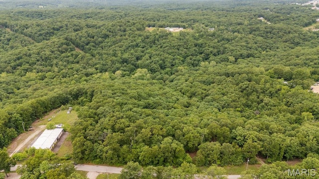 000 Nutall Oak Dr, Sunrise Beach, MO 65079 - photo 2