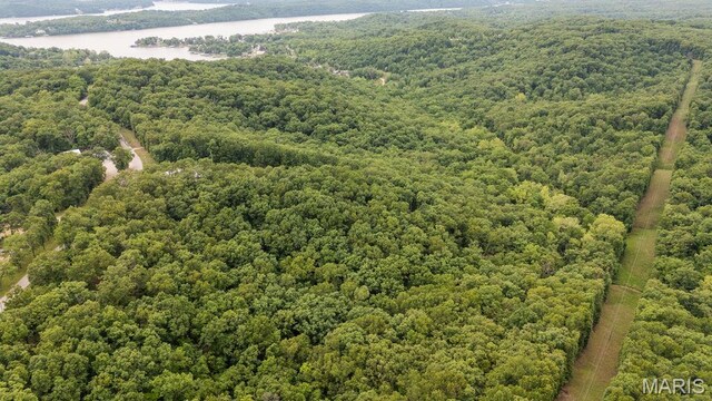 000 Nutall Oak Dr, Sunrise Beach, MO 65079 - photo 6