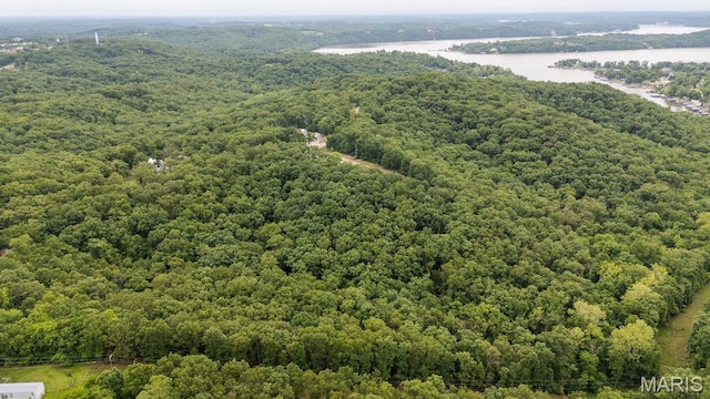 000 Nutall Oak Dr, Sunrise Beach, MO 65079 - photo 8