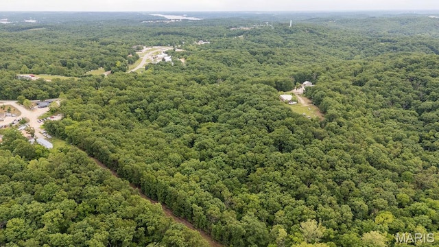 000 Nutall Oak Dr, Sunrise Beach, MO 65079 - photo 9
