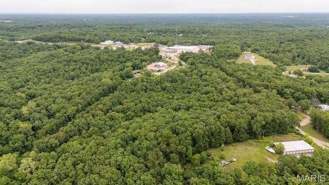 000 Nutall Oak Dr, Sunrise Beach, MO 65079 - photo 14
