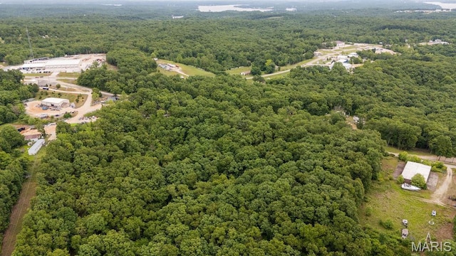 000 Nutall Oak Dr, Sunrise Beach, MO 65079 - photo 15