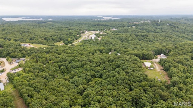 000 Nutall Oak Dr, Sunrise Beach, MO 65079 - photo 16