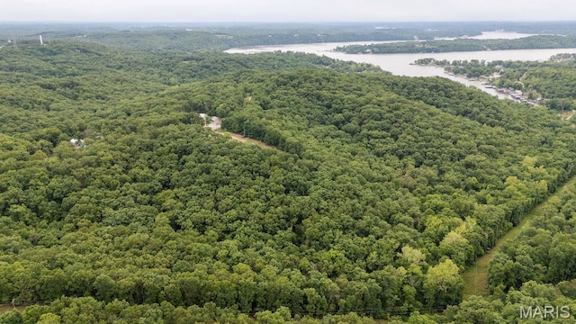 000 Nutall Oak Dr, Sunrise Beach, MO 65079 - photo 17